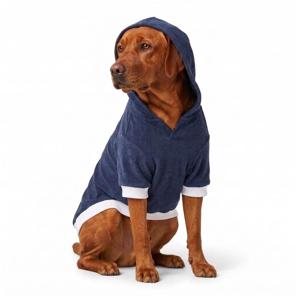 Large rust coloured dog sitting in a white studio wearing the blue dog hoodie t-shirt with the hood up and white ribbed cuffs