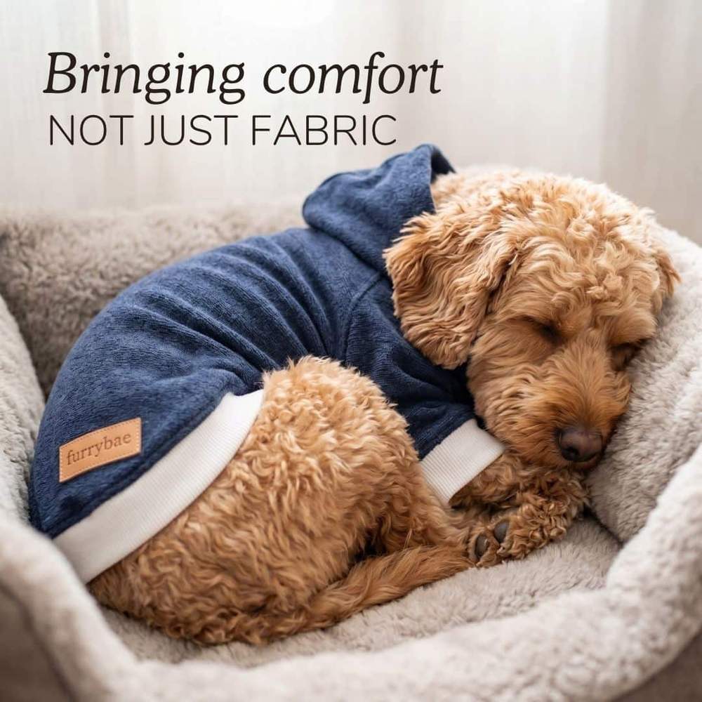 Bringing comfort not just fabric card showing an apricot curly puppy asleep in a soft bed in a blue dog hoodie t-shirt with cream ribbed hem