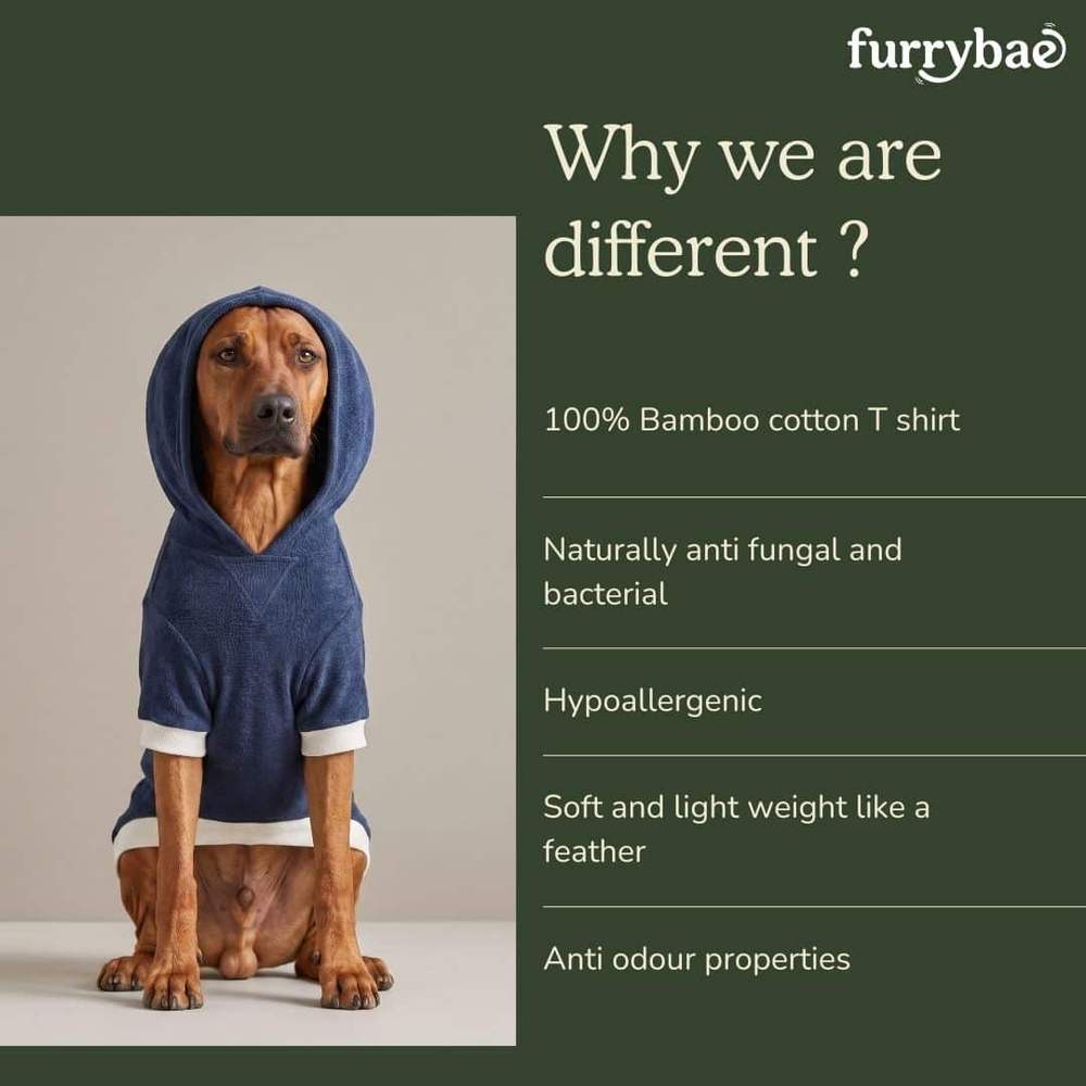 Why we are different infographic beside a tan hound sitting front on with the hood up on its blue dog hoodie t-shirt and cream cuffs
