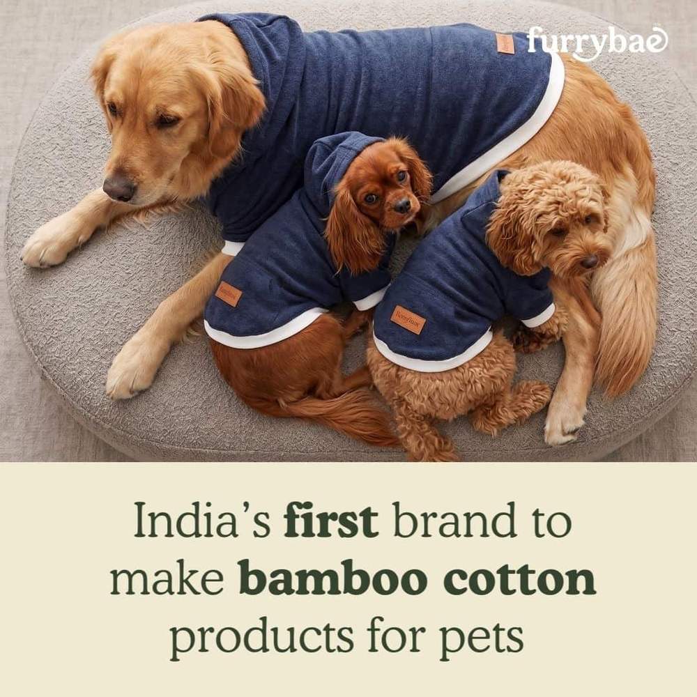 India first brand to make bamboo cotton products for pets card, three dogs curled on a round bed in matching blue dog hoodie t-shirts