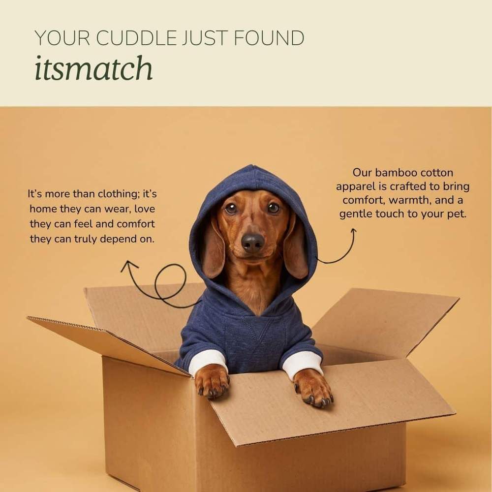 Your cuddle just found its match card with a tan dachshund in a box, hood up on its blue dog hoodie t-shirt and white ribbed cuffs