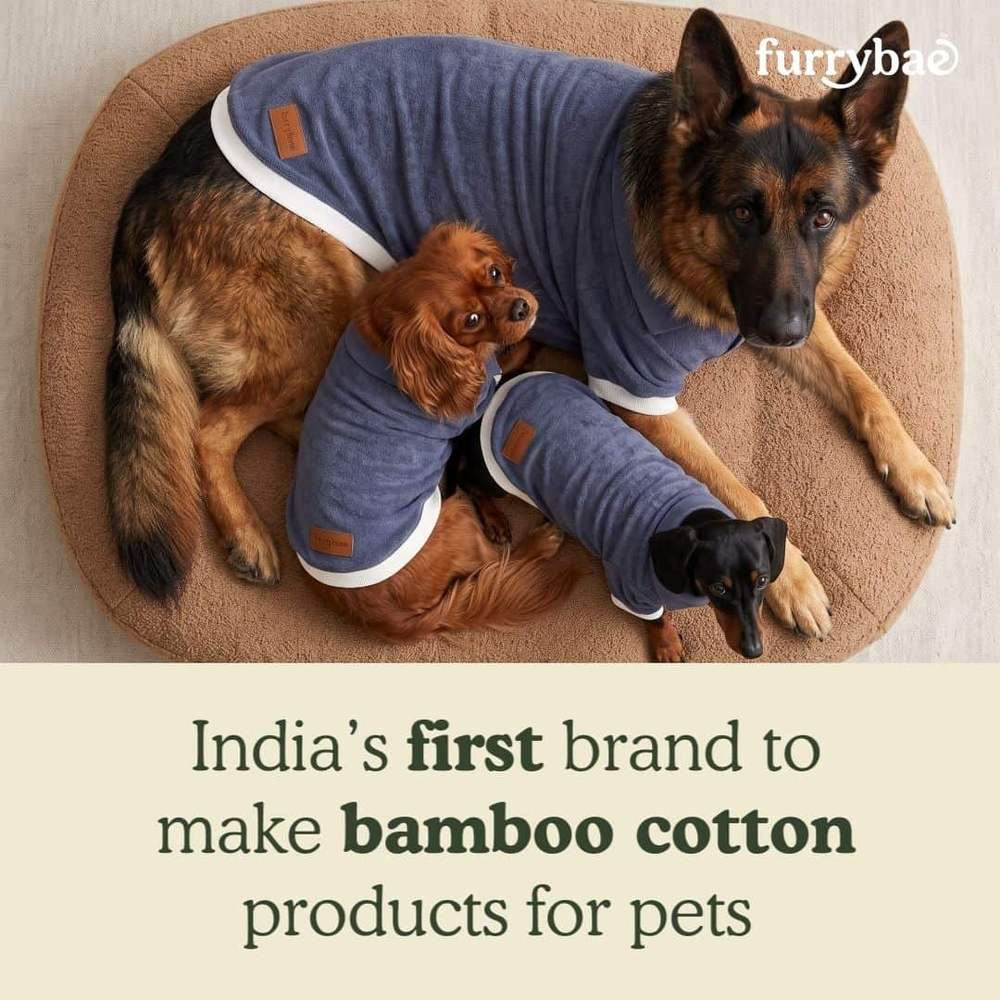 Overhead brand card reading India first brand to make bamboo cotton products for pets, with three dogs in matching blue dog t-shirts on a round bed