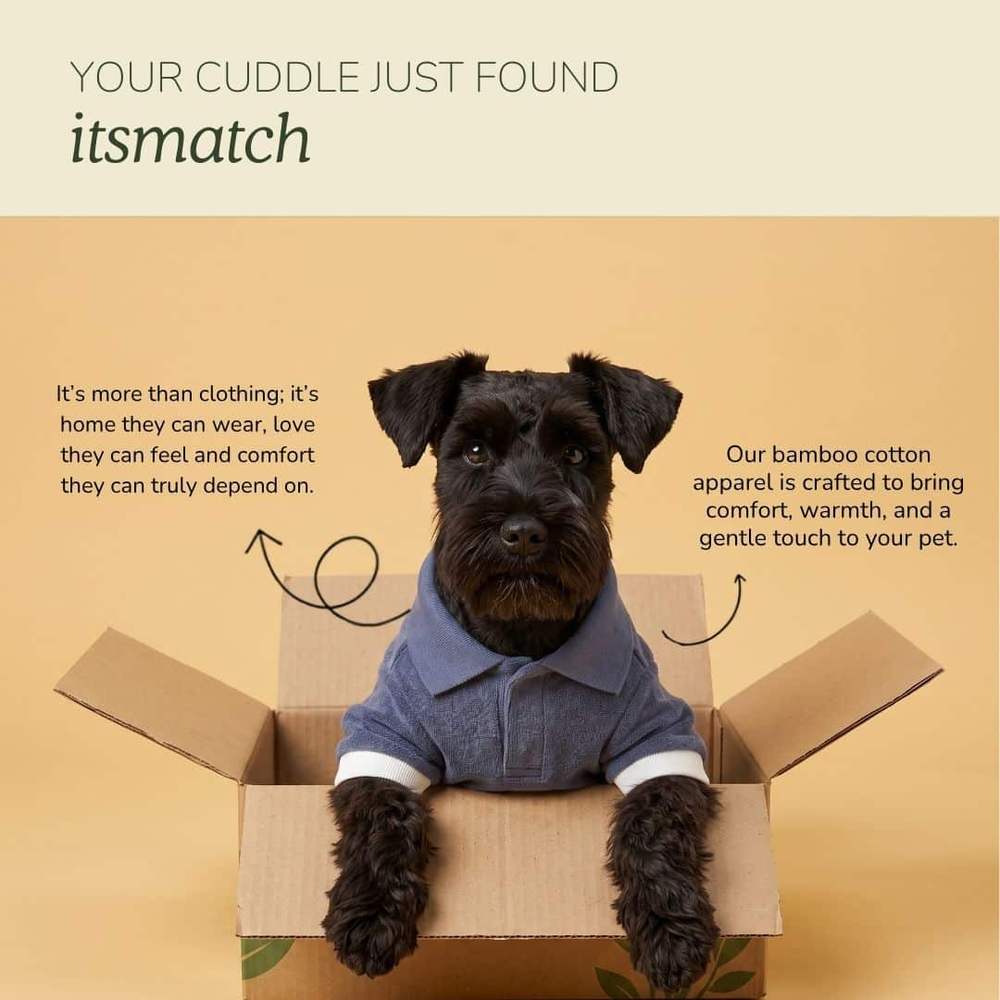 Marketing card with the line Your cuddle just found its match, a scruffy black terrier in a cardboard box wearing the blue dog t-shirt with cream cuffs