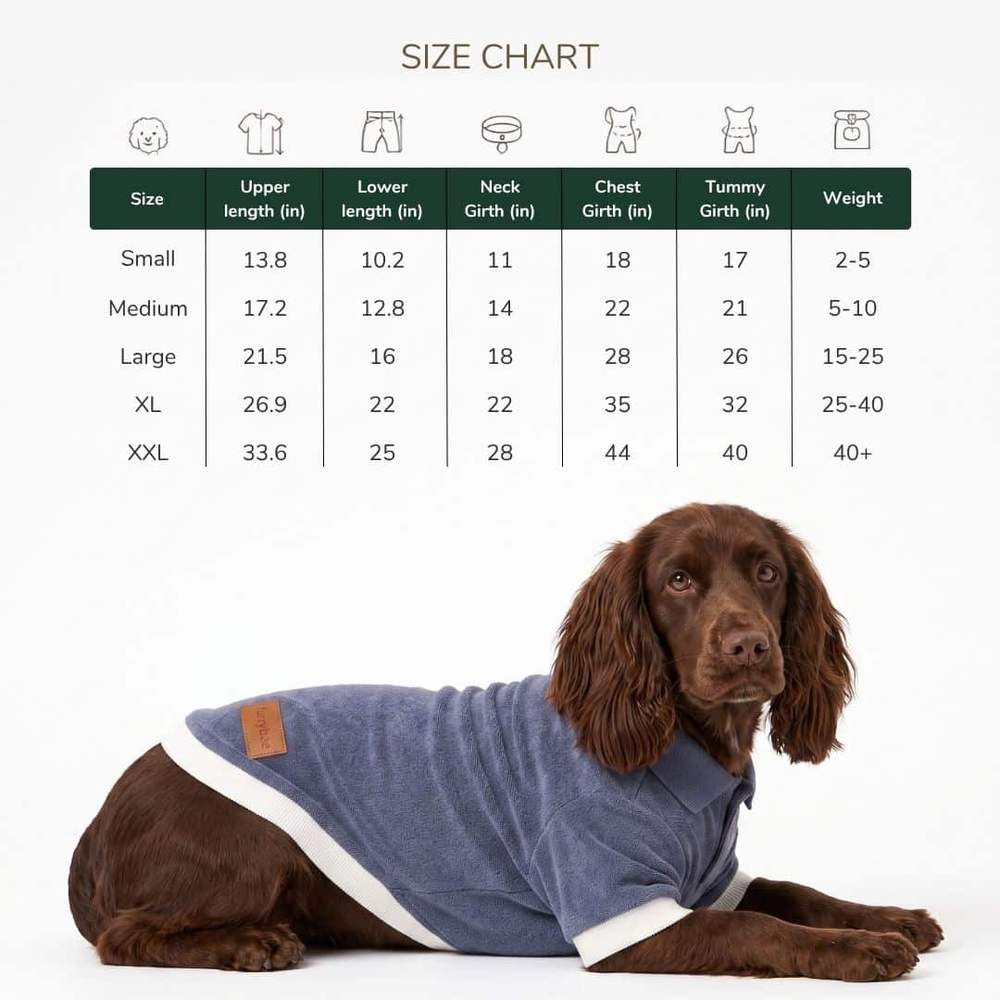 Size chart for Furrybae dog t-shirts with small to XXL measurements in inches, beside a brown spaniel lying down in the blue t-shirt