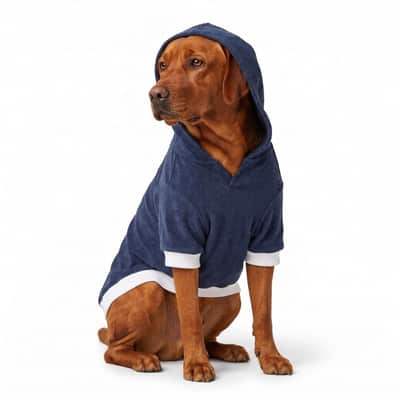 Brown dog seated in a Blue Furrybae hooded T-shirt