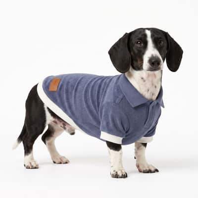 Black and white dog standing in a Blue Furrybae Dog T-shirt