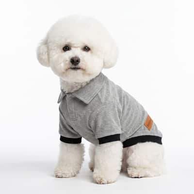 White dog seated in a Grey Furrybae Dog T-shirt
