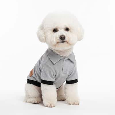 White dog facing forward in a Grey Furrybae Dog T-shirt