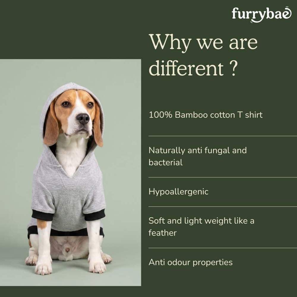 Why we are different infographic next to a beagle sitting with the hood up on its grey dog hoodie t-shirt
