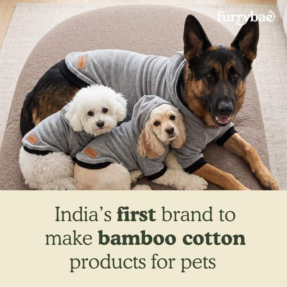 India first brand to make bamboo cotton products for pets card, three dogs lying together in matching grey dog hoodie t-shirts