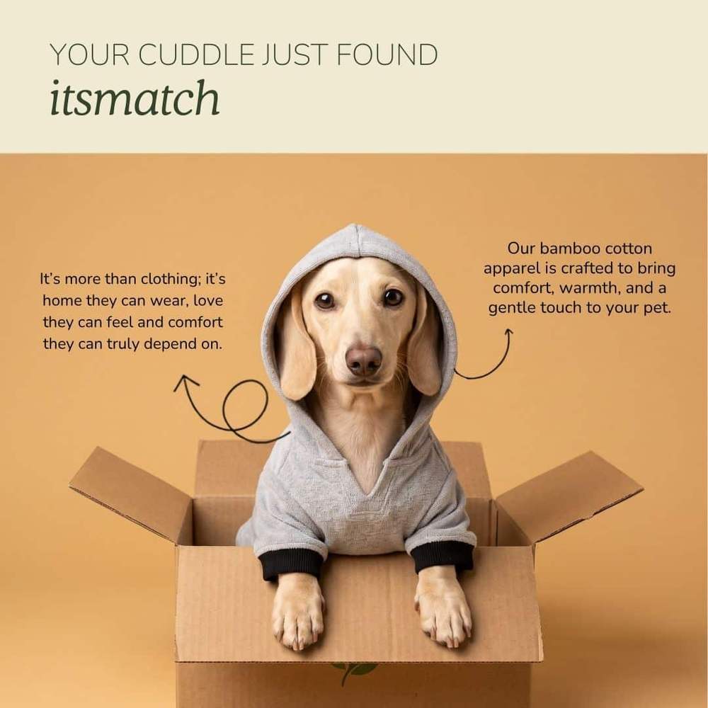 Your cuddle just found its match card with a cream dachshund in a cardboard box, hood up on the grey dog hoodie t-shirt and black cuffs