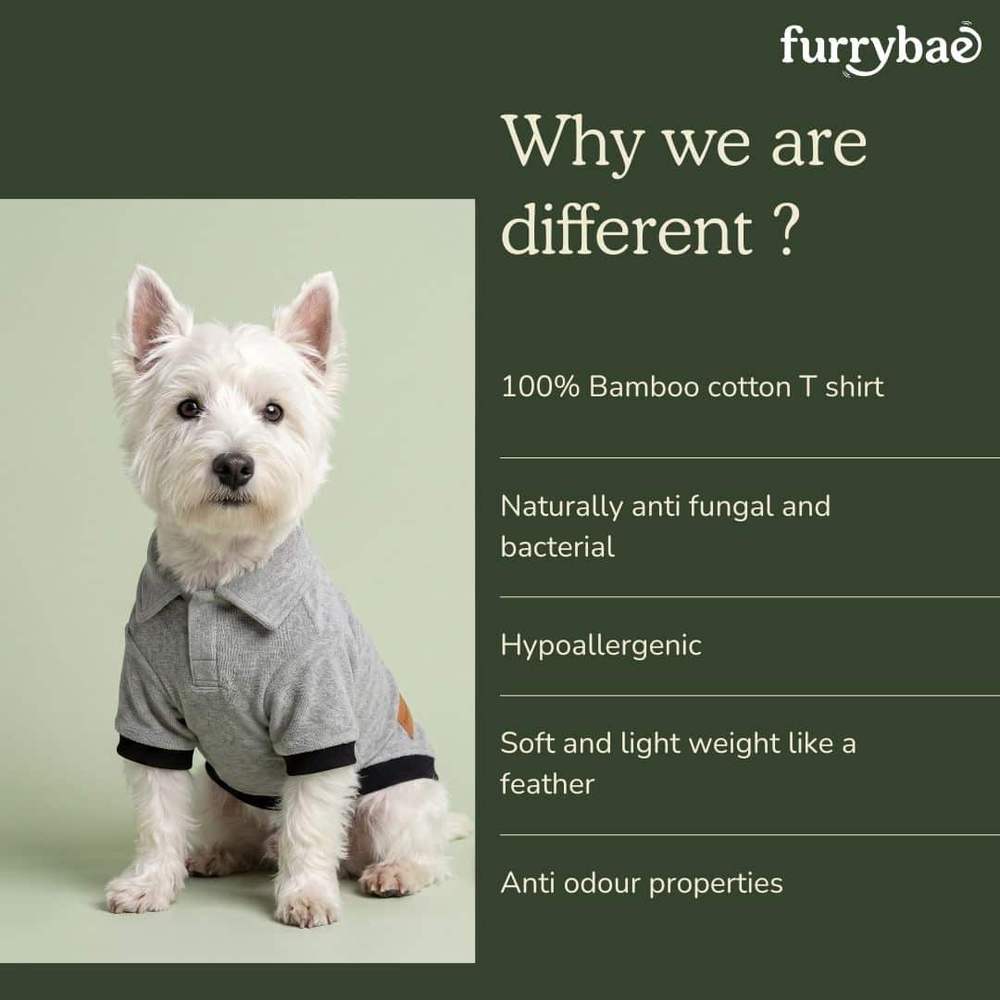 Why we are different infographic listing fabric benefits next to a small white terrier seated in the grey dog t-shirt
