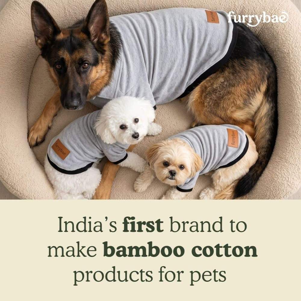Brand card stating India first brand to make bamboo cotton products for pets, showing three dogs in grey dog t-shirts with black hems on a bed
