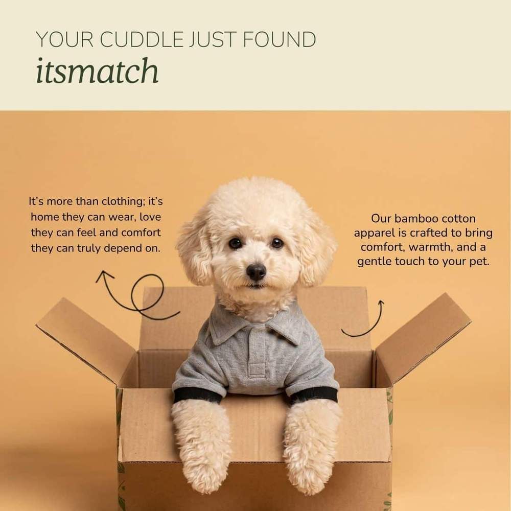 Your cuddle just found its match card showing a cream curly poodle in a cardboard box wearing the grey dog t-shirt with black cuffs