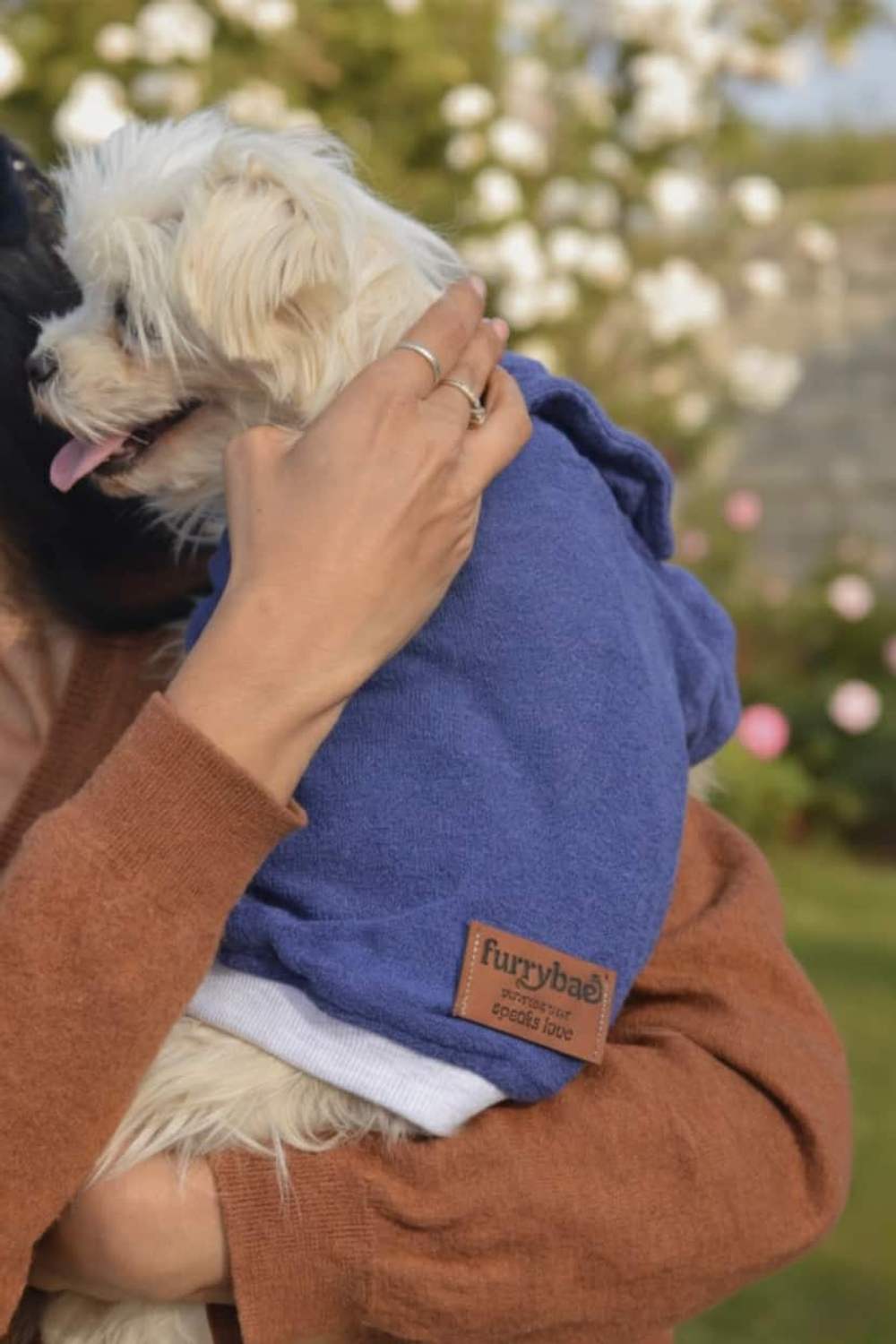 Person hugging a fluffy white dog wearing a Blue Furrybae hoodie in a garden